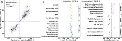 Host Genetic Liability for Severe COVID-19 Associates with Alcohol Drinking Behavior and Diabetic Outcomes in Participants of European Descent